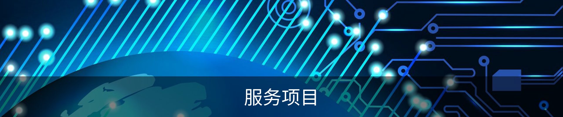 服务项目